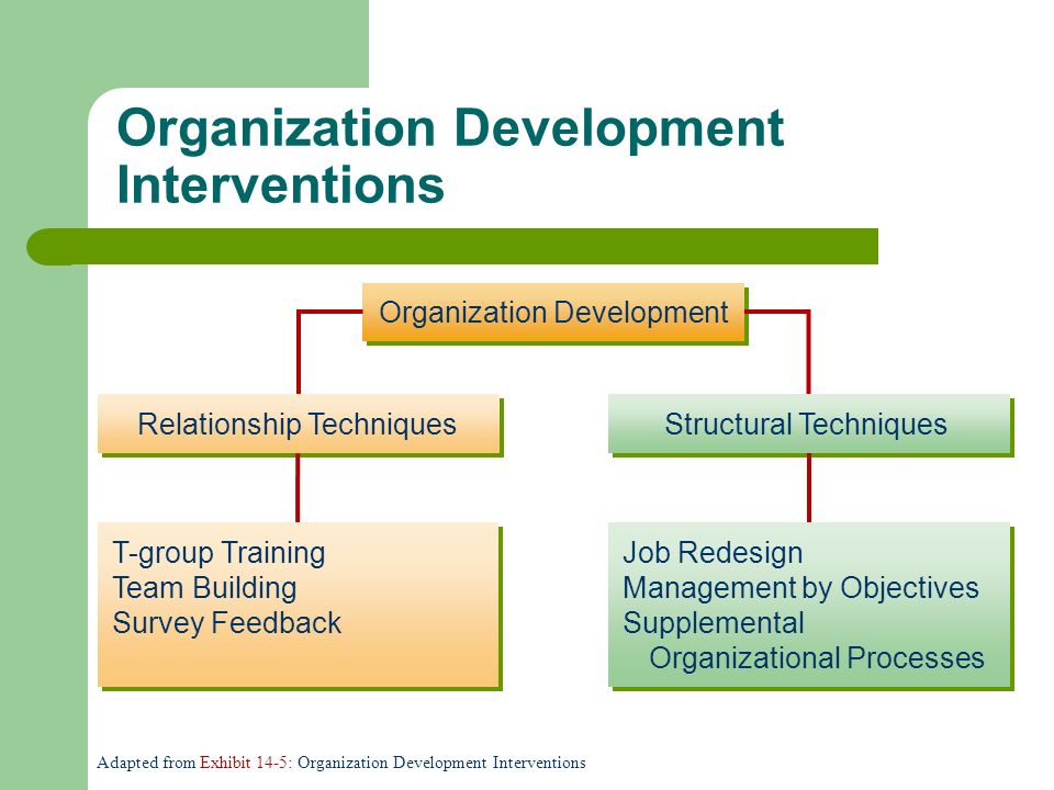 Organizational Development: Definition, Uses and Techniques